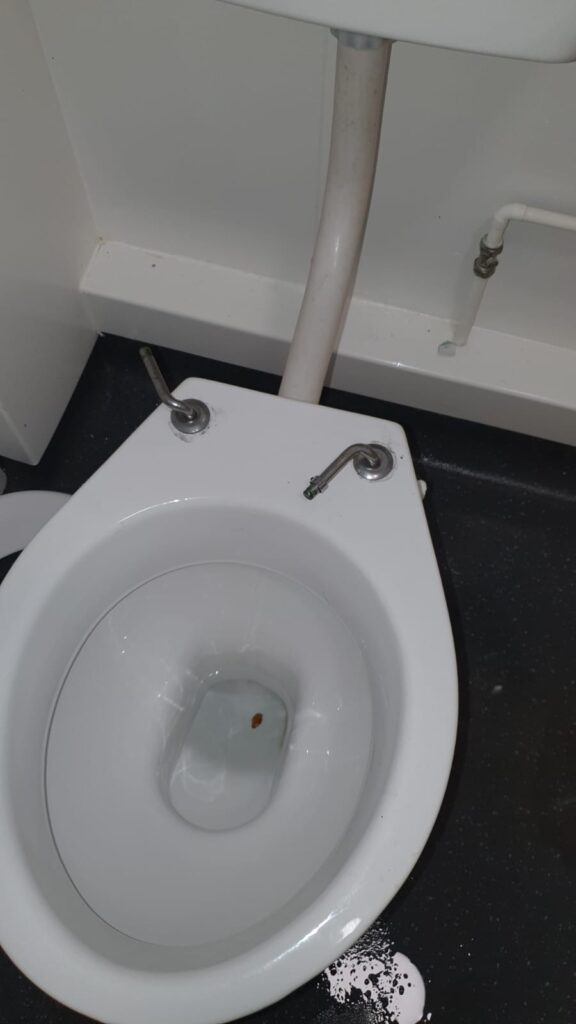 Plumber Avonmouth Toilet Repair: Ensuring Smooth Operation and Functionality